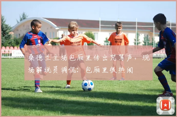 桑德兰主场包厢里传出咒骂声，现场解说员调侃：包厢里很热闹