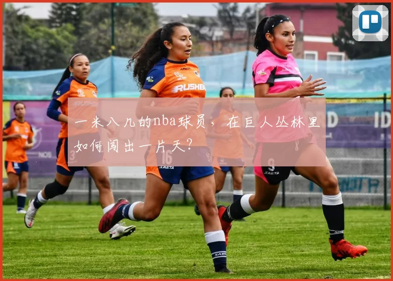 一米八几的nba球员，在巨人丛林里如何闯出一片天？